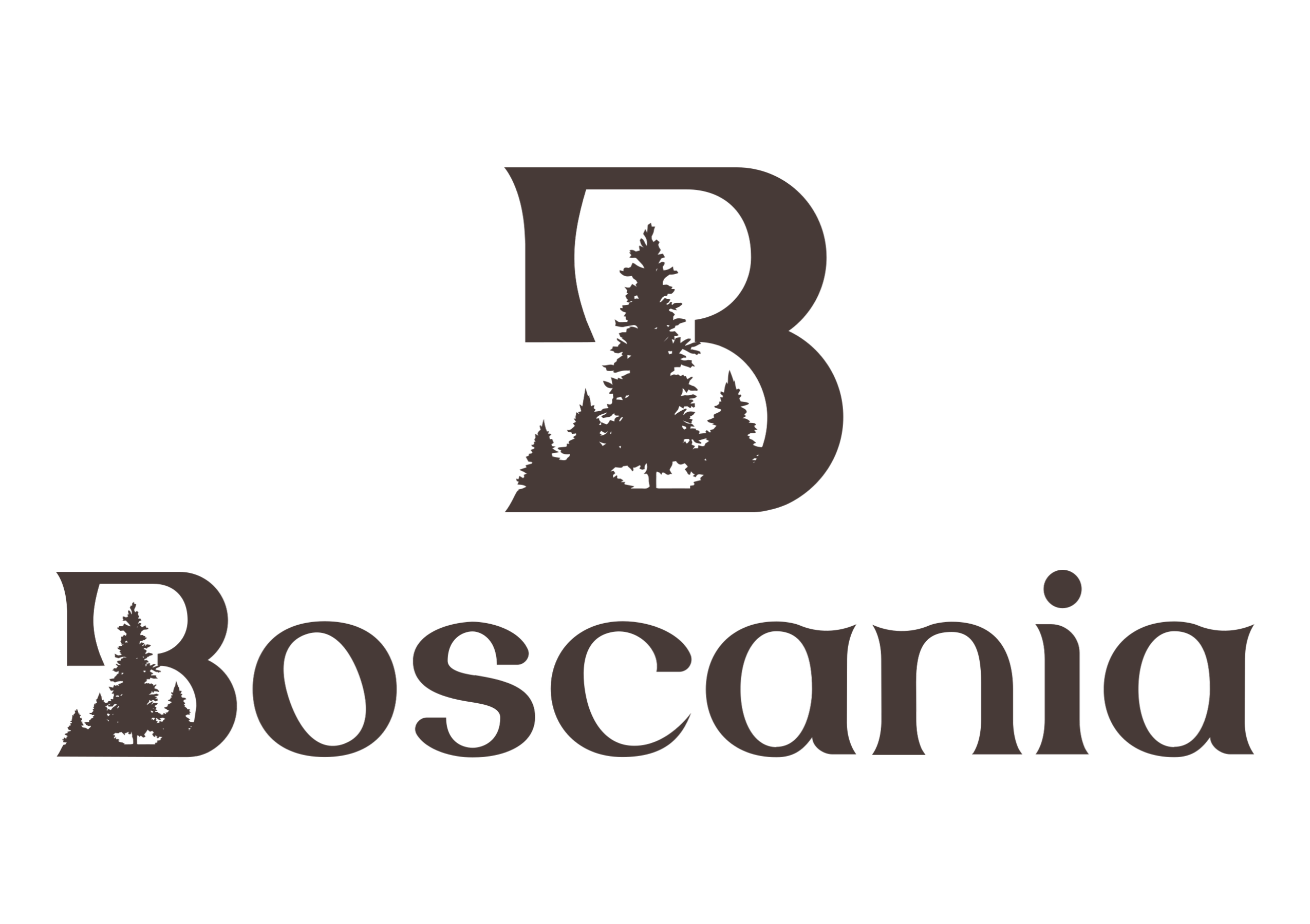 Mi tienda